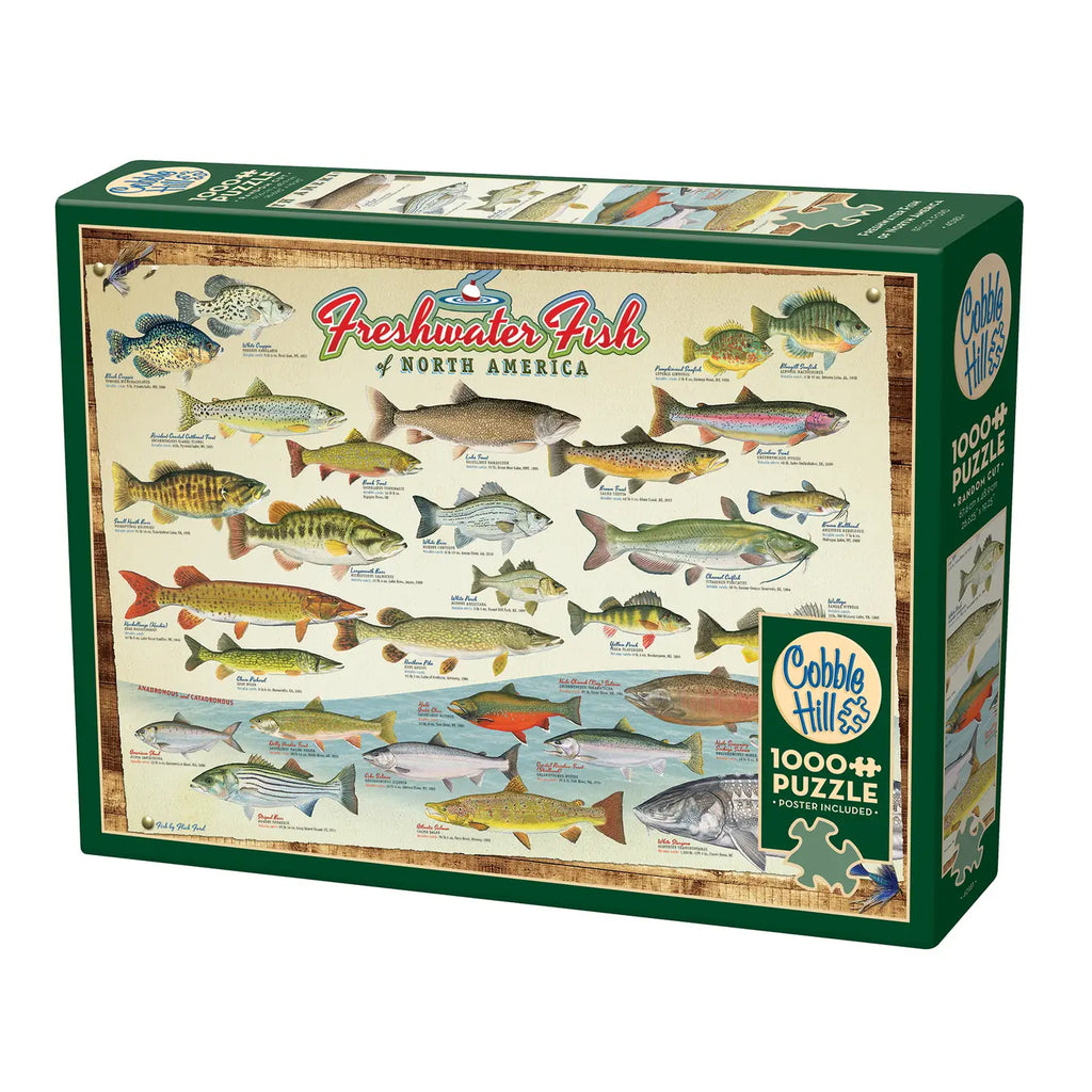Puzzles