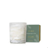 Tidings Boxed Candle 6.5oz