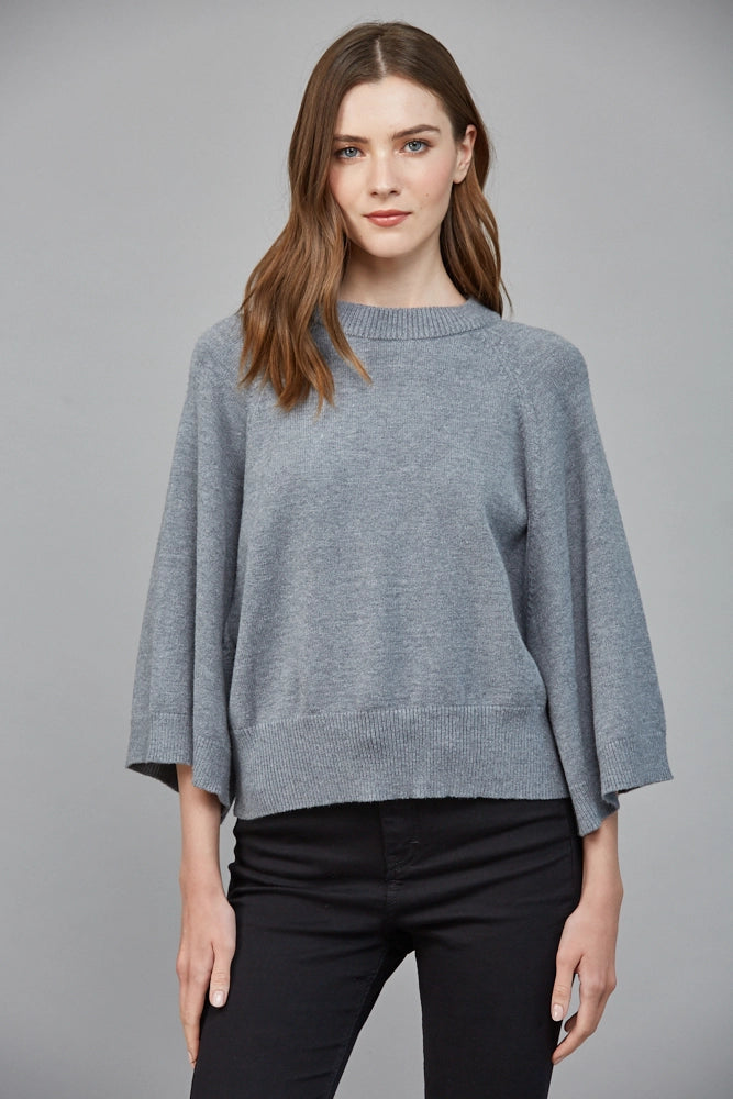 Reglan Sleeve Crewneck Sweater