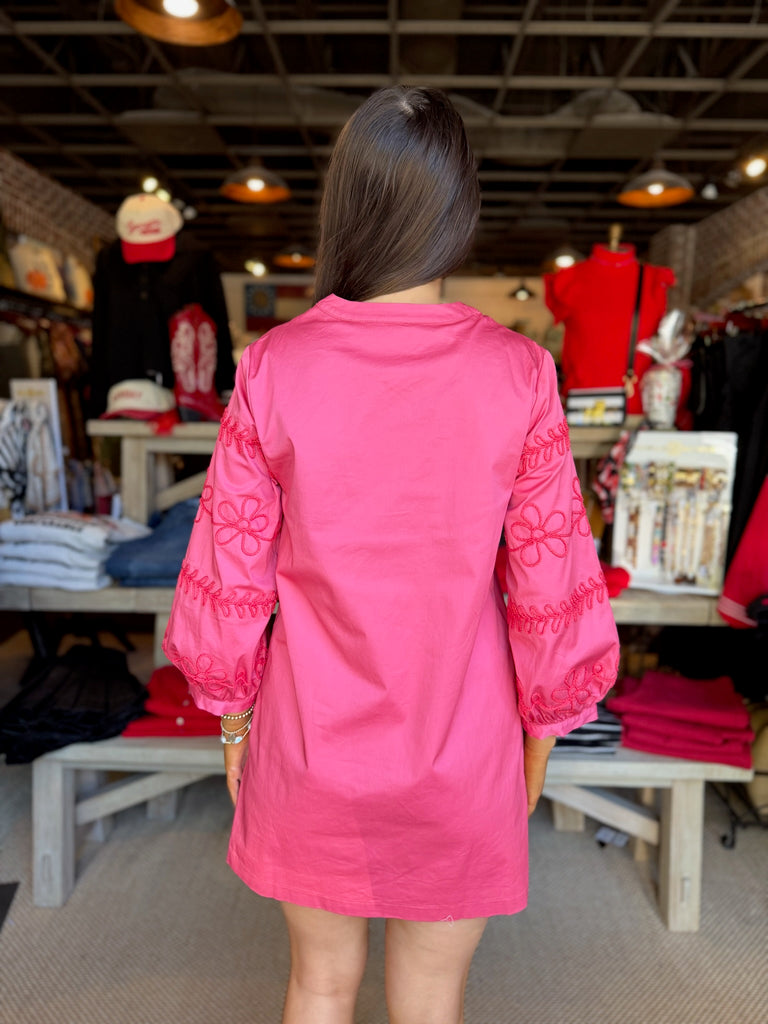 Embroidery Mini Dress