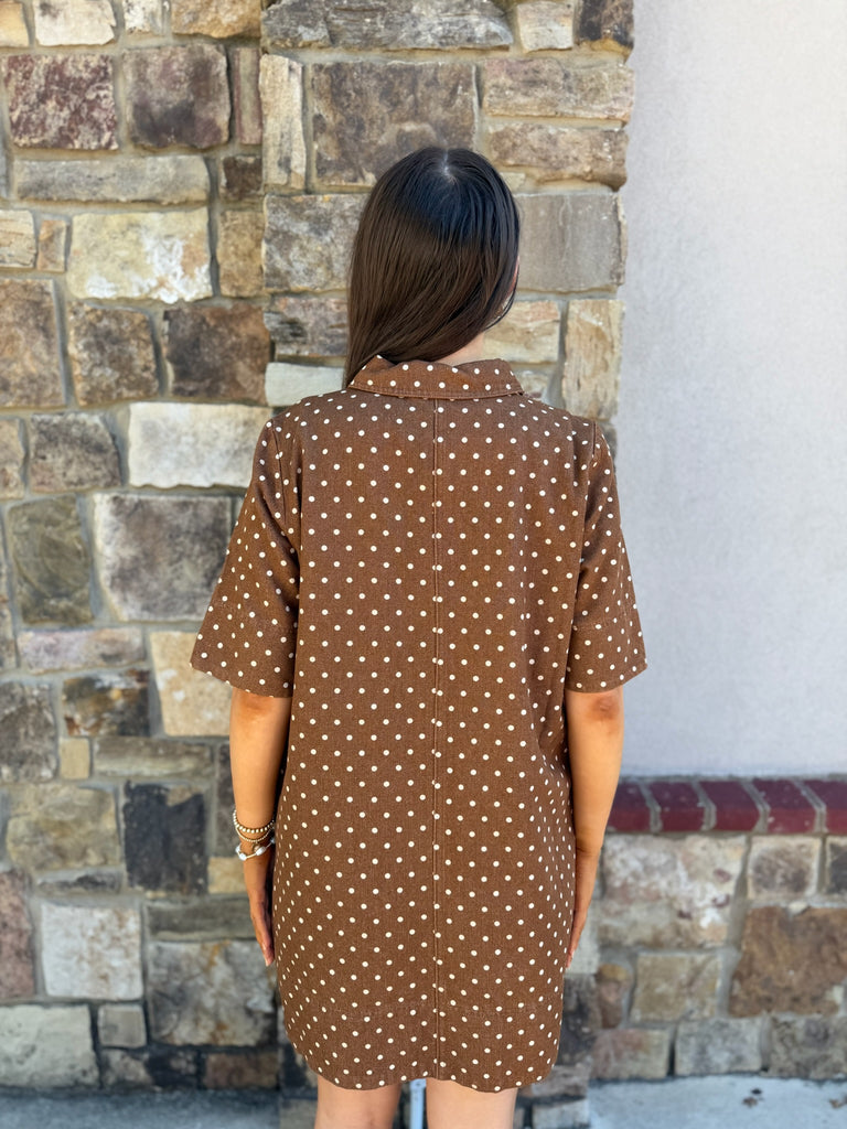 Polka Dot Denim Shirt Dress