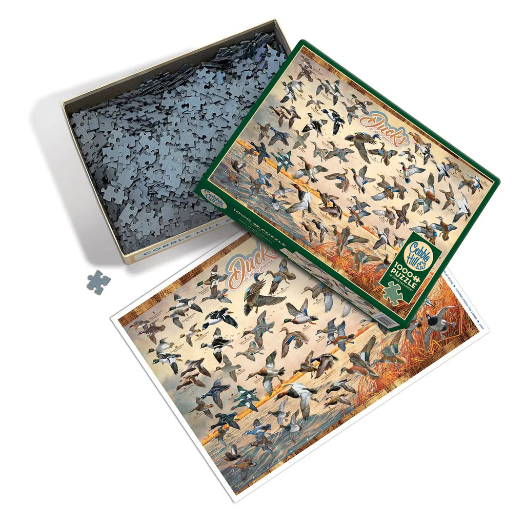 Puzzles